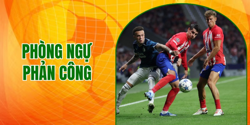 phong-ngu-phan-cong